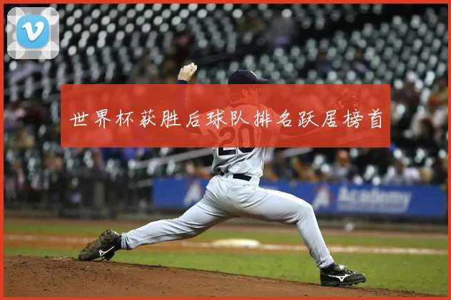 世界杯获胜后球队排名跃居榜首