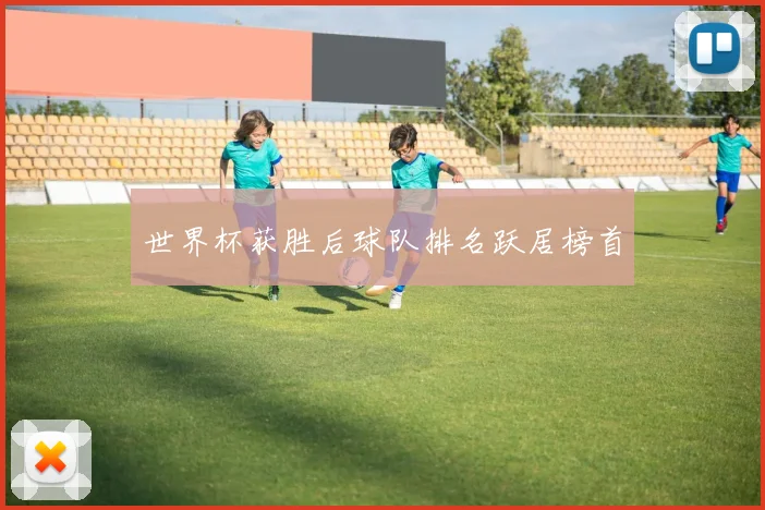 世界杯获胜后球队排名跃居榜首