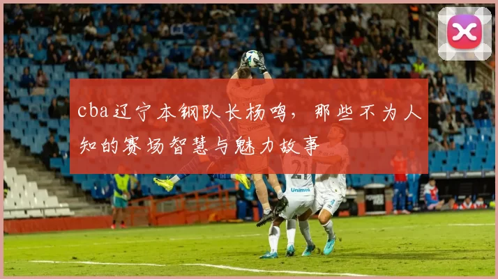 cba辽宁本钢队长杨鸣，那些不为人知的赛场智慧与魅力故事